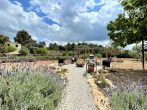 Majorcan stone finca, pool, guest house, 284sqm, terraces and orchard, 6SZ, 4 BZ, fireplace - Feuerstelle