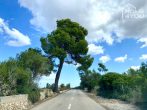 Naturstein-Finca zum Endausbau auf 14.700 m² Grundstück in Campos: 270 m², 5 SZ, 5 Bäder, Pool - Mallorca