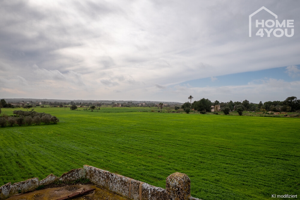 Landschaft