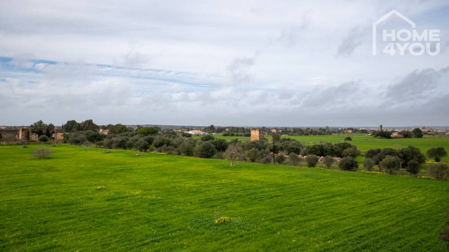 Aussicht