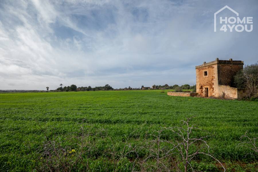 Finca