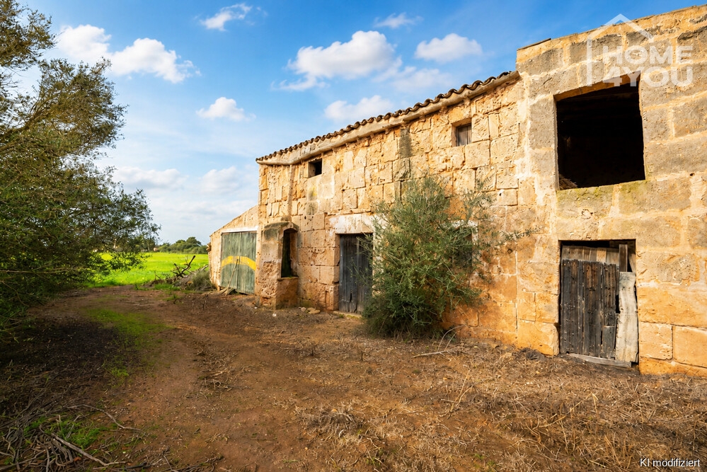 Bestandsfinca