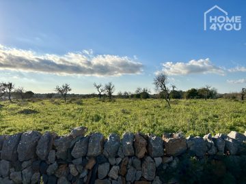 Top building plot in quiet location with view to the island of Cabrera and the sea, 14700sqm, stone wall, 07650 Santanyí (Spain), Wohngrundstück