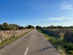 Top building plot in quiet location with view to the island of Cabrera and the sea, 14700sqm, stone wall - Straße