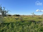 Top building plot in quiet location with view to the island of Cabrera and the sea, 14700sqm, stone wall - Grundstück