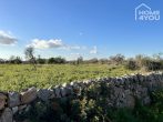 Top building plot in quiet location with view to the island of Cabrera and the sea, 14700sqm, stone wall - Steinmauer