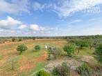 Sensación de precio: Finca cerca del pueblo, 327 m², 2 dormitorios, 2 baños, piscina, terrazas - Ausblick