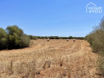 Top building plot in exclusive location of Ses Salines, 21.000sqm, close to the beach, water, electricity & wells, 07630 Campos (Spain), Wohngrundstück