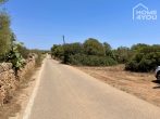 Top building plot in exclusive location of Ses Salines, 21.000sqm, close to the beach, water, electricity & wells - Straße