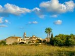 Sunny building plot 79.000m2, quiet location in Ses Salines, with division 2-fold building possible - Fincaleben auf Mallorca