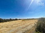 Sunny building plot 79.000m2, quiet location in Ses Salines, with division 2-fold building possible - Ses Salines
