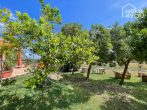 Paradiesische Landhaus-Finca mit sep. Gästeapartment, großer Garten, Teich, Solar, Brunnen, Lehmofen - Zitronenbaum