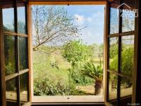 Finca-Feeling