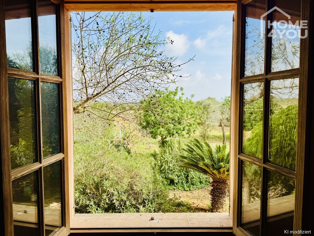 Finca-Feeling