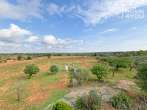 Idyllische Finca in Ses Salines: 327 m², 2 SZ, 2 Bäder, Pool, Terrassen, Außenküche, Garage, Solar - Ausblick