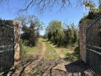 Idyllic finca near Felanitx: 4,000 sqm, 2 bedrooms, 1 bathroom, kitchen, fireplace, terrace, solar, cistern, quiet - Einfahrt