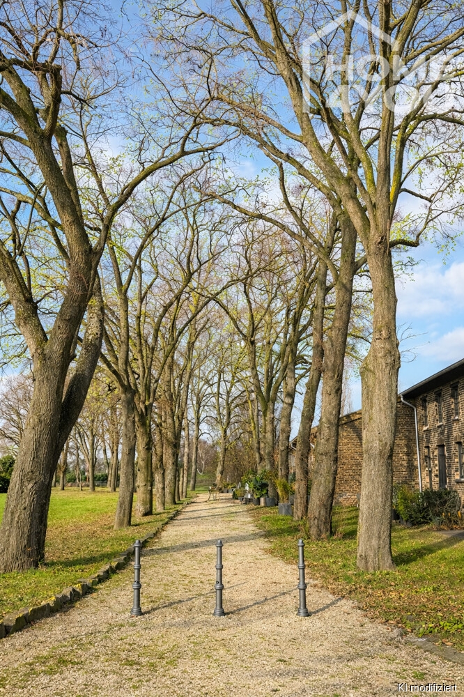 Park