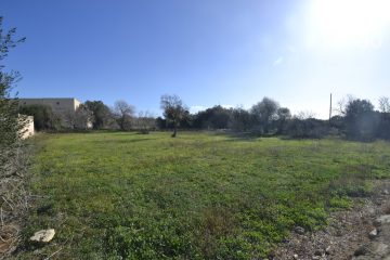 Urban building plot for investors in a central & quiet location: 1147m², up to 10 townhouses, 07640 Salines (Ses) (Spain), Wohngrundstück