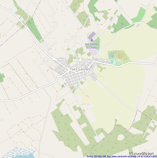 Ses Salines