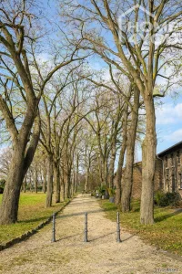 Park