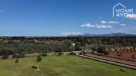Mediterrane Finca mit 8.970m² in Ruhelage mit Pádelplatz, 4 SZ, 4 Bäder, Wintergarten, Pool, Heizung - Aussicht