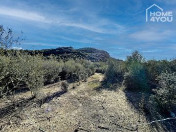 Terrain à bâtir exclusif à Sineu au Puig de Sant Nofre, 17.984 m² de nature idyllique, 269 m² constructibles, 07510 Sineu (Espagne), Terrain à usage résidentiel