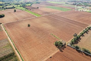 Sunny dream plot between Manacor and Felanitx – 21,994 m² for your 250 m² dream finca, 07500 Manacor (Spain), Wohngrundstück