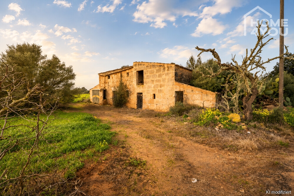 Finca