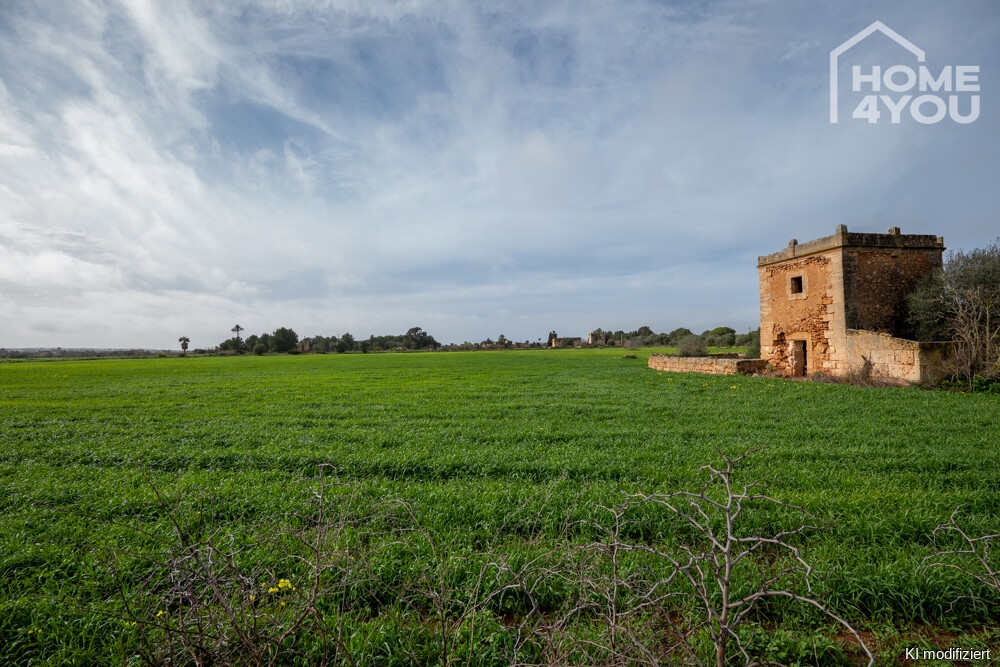 Finca