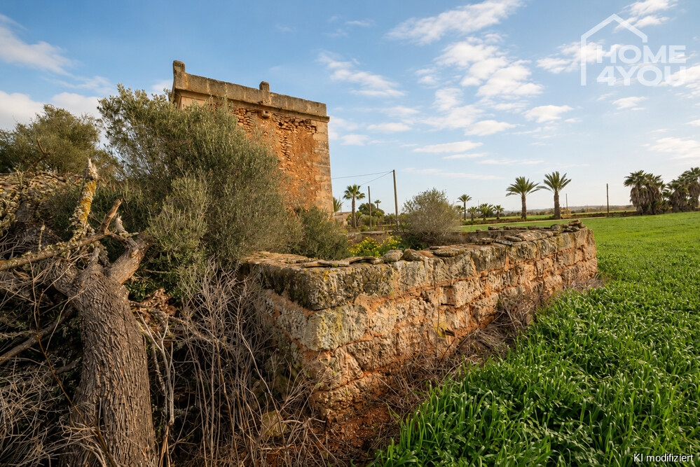 Bestandsfinca