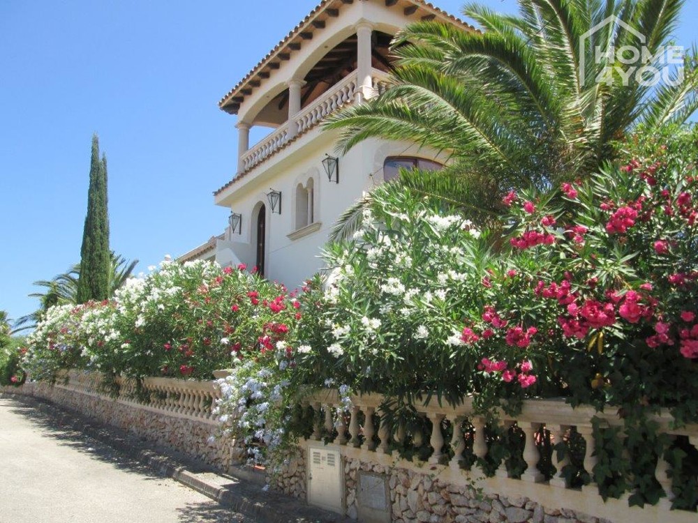 Villa Palmera