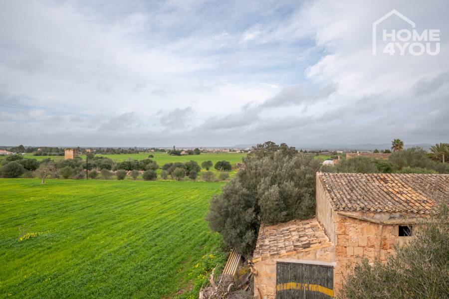 Finca