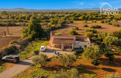 Idyllische Finca bei Felanitx: 4.000 qm, 2 SZ, 1 Bad, Küche, Kamin, Terrasse, Solar, Zisterne, ruhig, 07200 Felanitx (Spanien), Landhaus