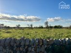 Terreno edificable en zona tranquila con vistas a la isla de Cabrera y al mar, 14700m², muro de piedra - Steinmauer