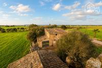 Bestandsfinca