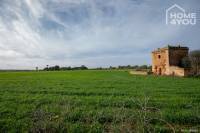 Finca